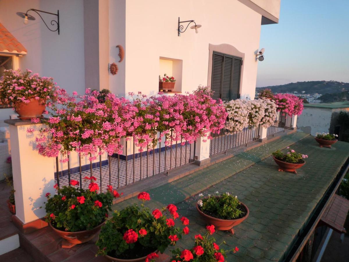 Dea Fortuna Bed & Breakfast Bacoli